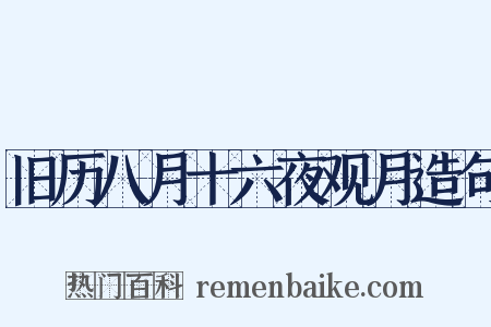 旧历八月十六夜观月造句是什么意思的图片